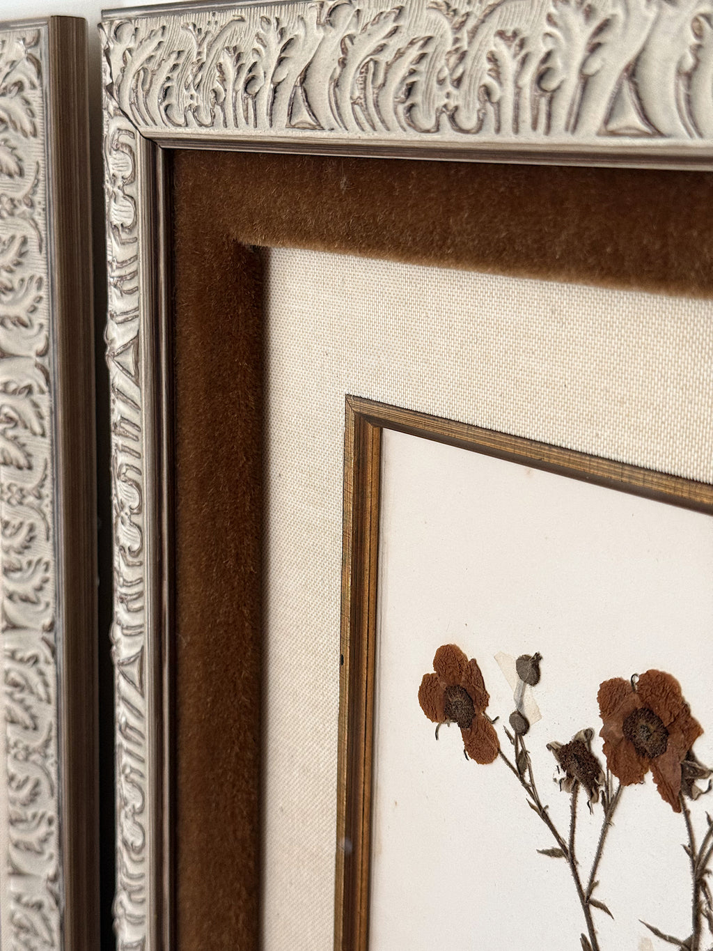 Custom Framed Antique Dutch Herbarium Collection