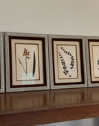 Custom Framed Antique Dutch Herbarium Collection