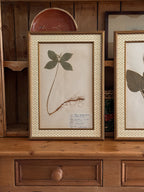 Vintage Finnish Herbarium Specimens, Custom Floral Matting