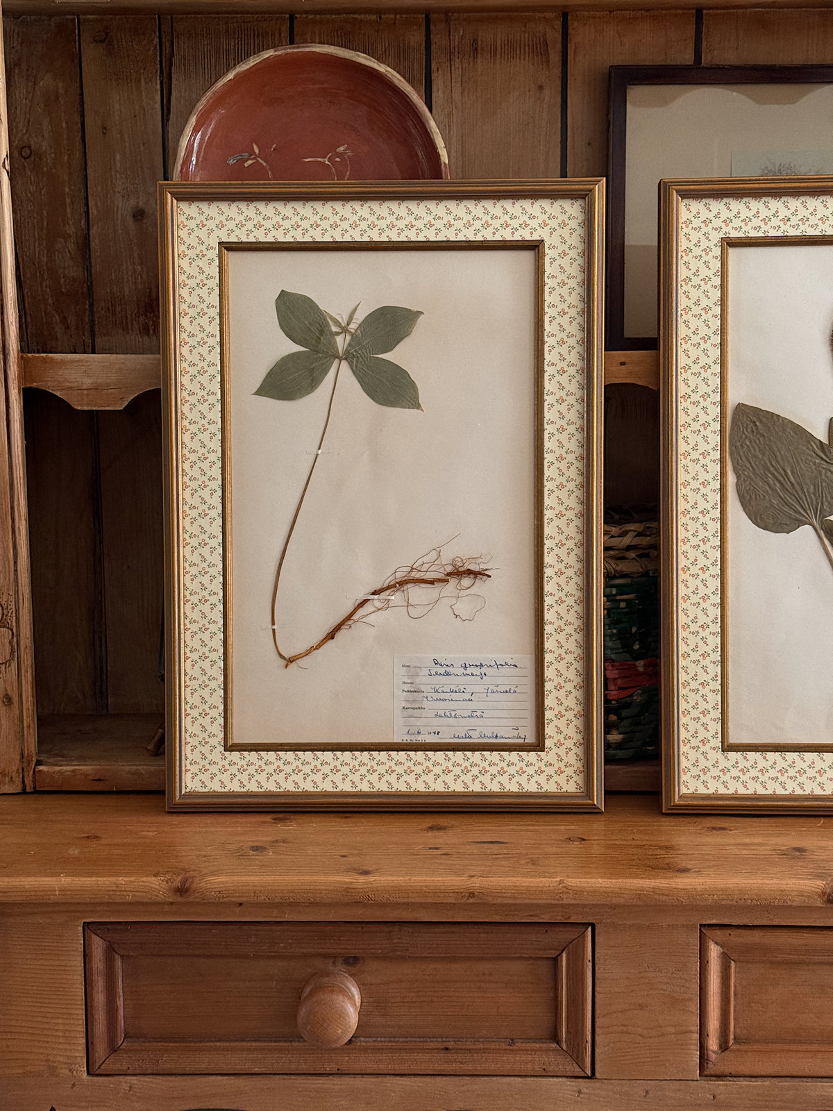 Vintage Finnish Herbarium Specimens, Custom Floral Matting