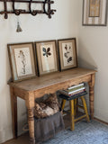 Set of Three Antique Dutch Herbarium Specimens, circa 1922