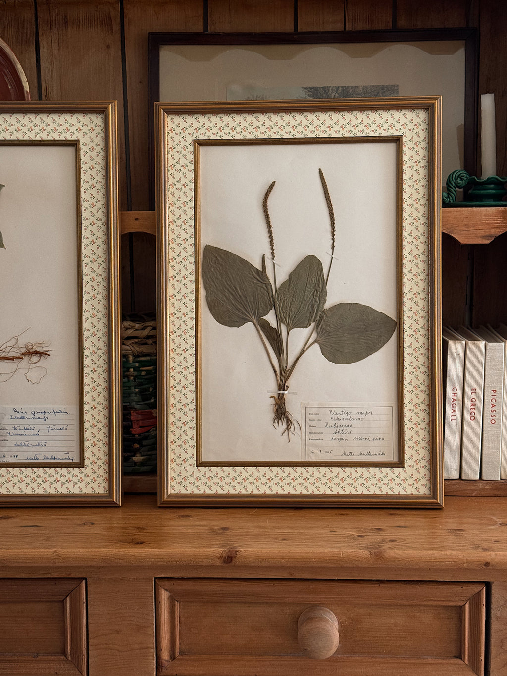 Vintage Finnish Herbarium Specimens, Custom Floral Matting