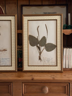 Vintage Finnish Herbarium Specimens, Custom Floral Matting