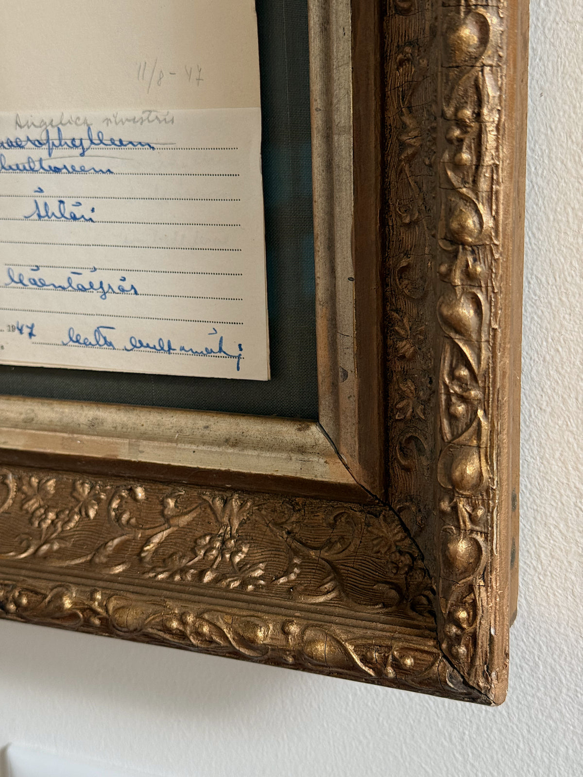 Custom Framed Finnish Herbarium Specimen in Antique Frame