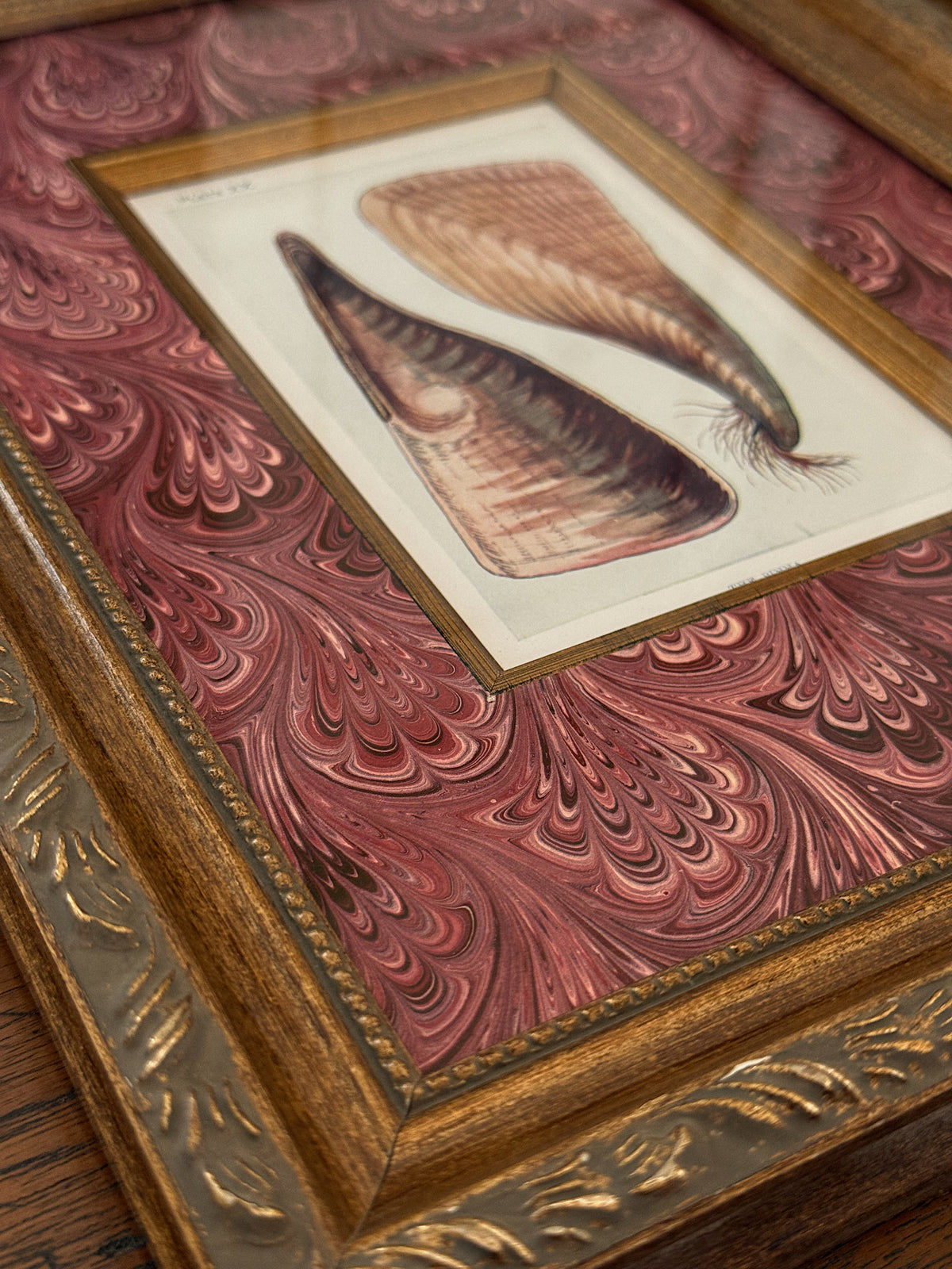 Set of Two Antique Natural History Book Plates