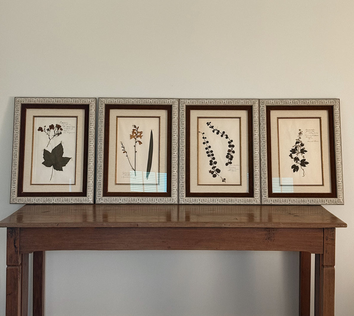 Custom Framed Antique Dutch Herbarium Collection