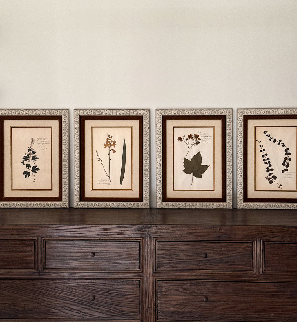 Custom Framed Antique Dutch Herbarium Collection
