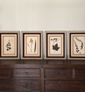 Custom Framed Antique Dutch Herbarium Collection