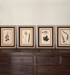 Custom Framed Antique Dutch Herbarium Collection