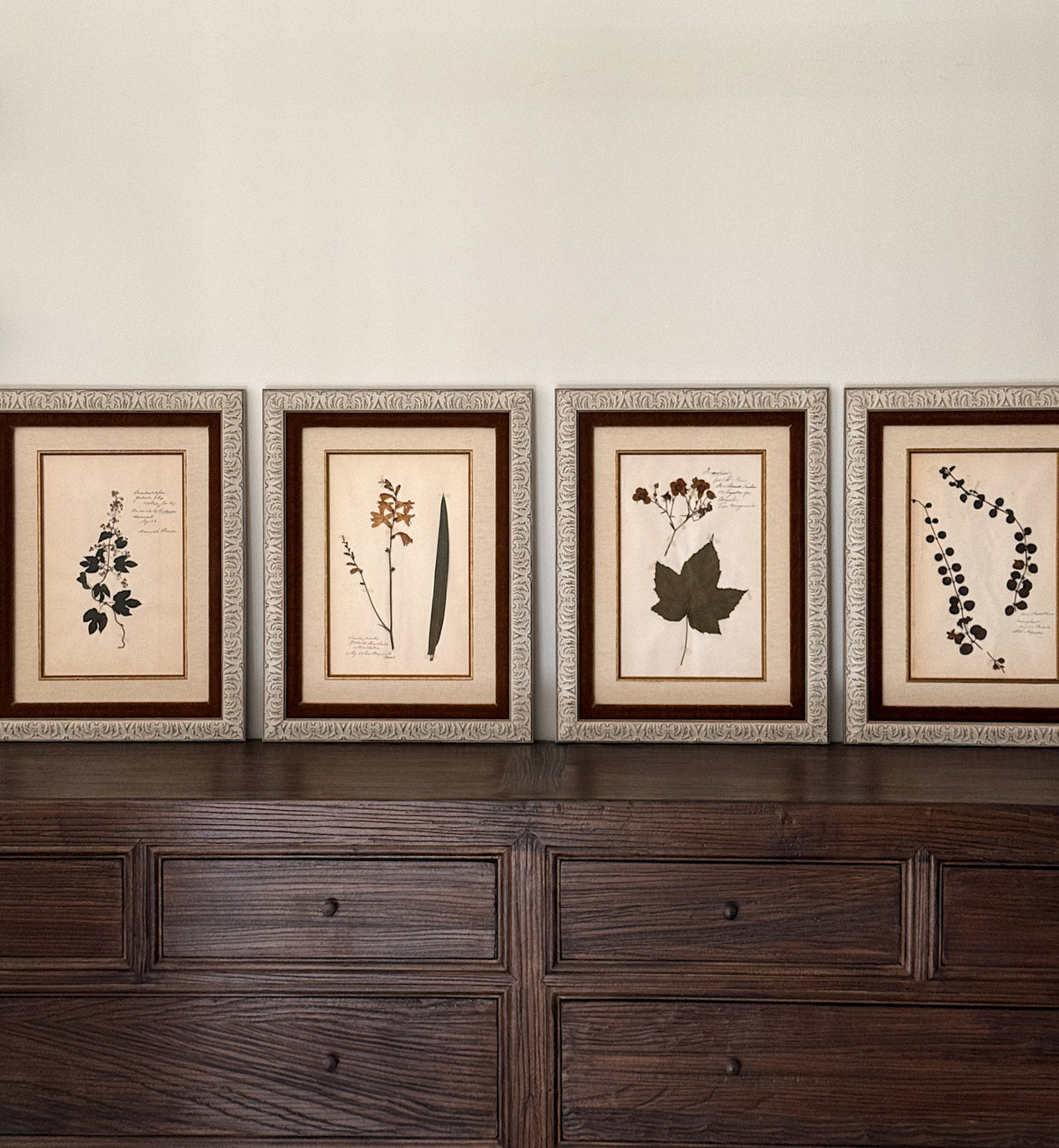 Custom Framed Antique Dutch Herbarium Collection