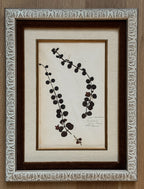 Custom Framed Antique Dutch Herbarium Collection